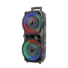 KTS-2465  Karaoke Speaker BT Wireless Double 8inch USB & TF & AUX & Bluetooth