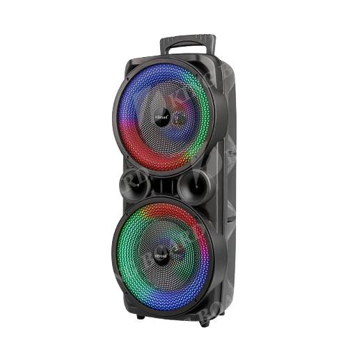 KTS-2465  Karaoke Speaker BT Wireless Double 8inch USB & TF & AUX & Bluetooth